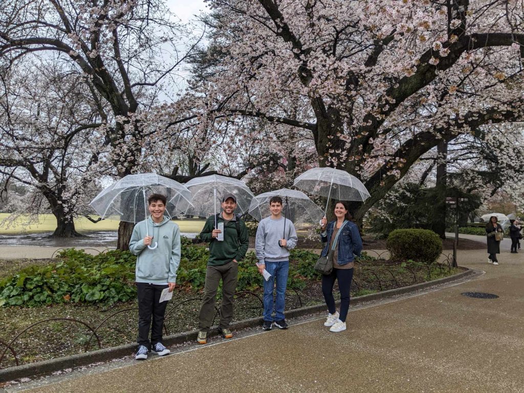 Tokyo Customized Private Tour in 1 Day
