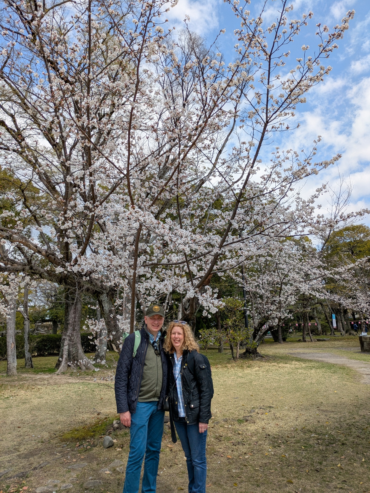 Hiroshima Peace Park Customized Tour
