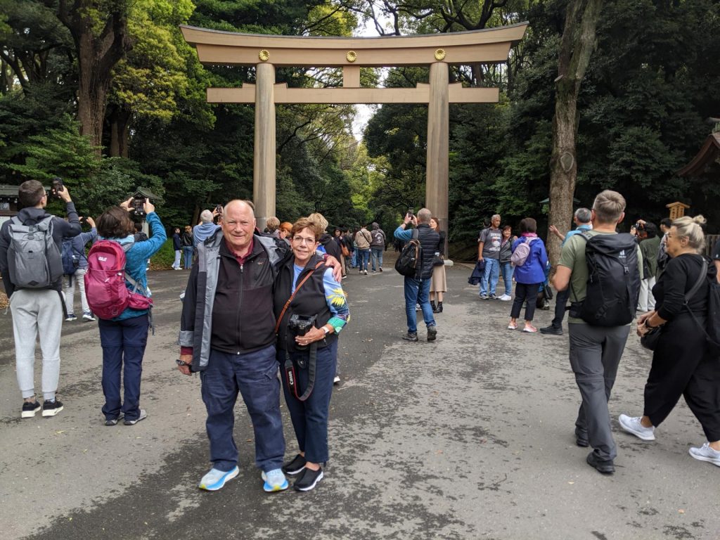 Tokyo in One Day: Meiji Shrine & Shinjuku Gyoen