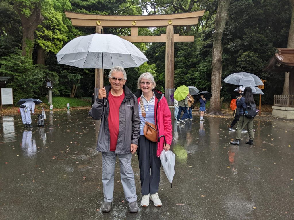 Tokyo Customized Private Tour in 1 Day