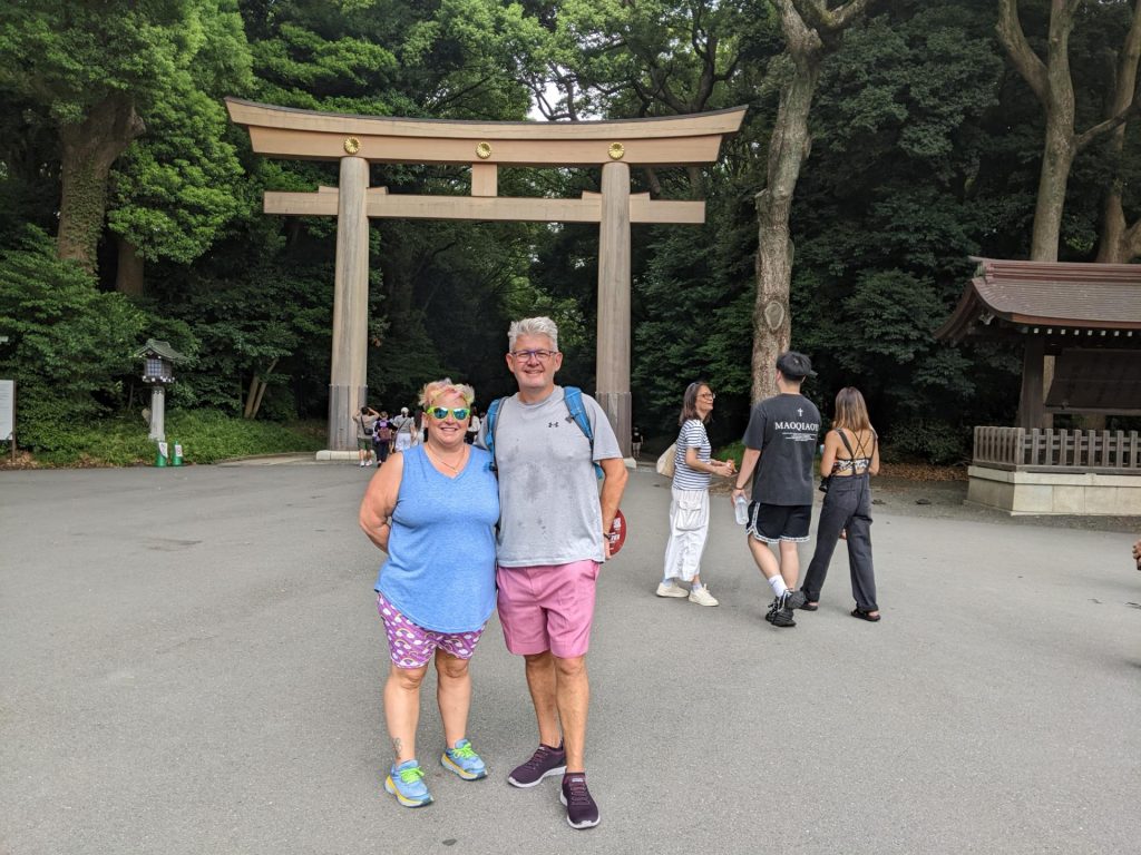 Tokyo in One Day: Meiji Shrine & Akihabara