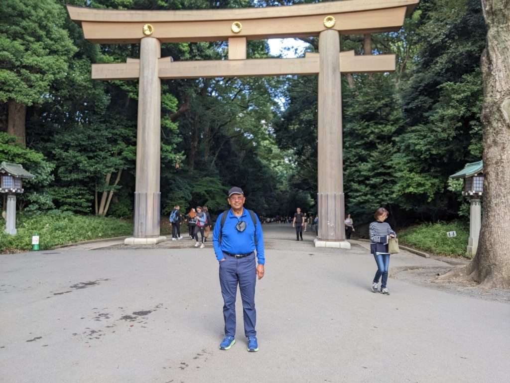 Tokyo in One Day: Meiji Shrine & Yanaka Ginza