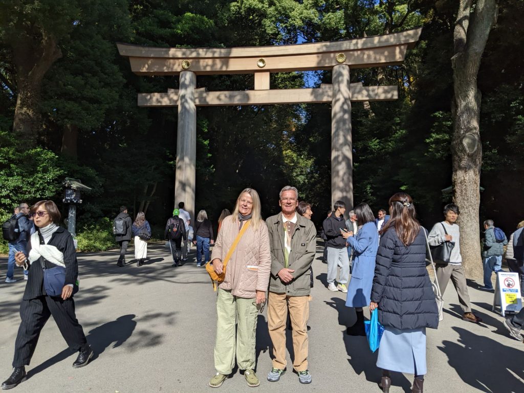 Tokyo in One Day: Meiji Shrine & Akihabara