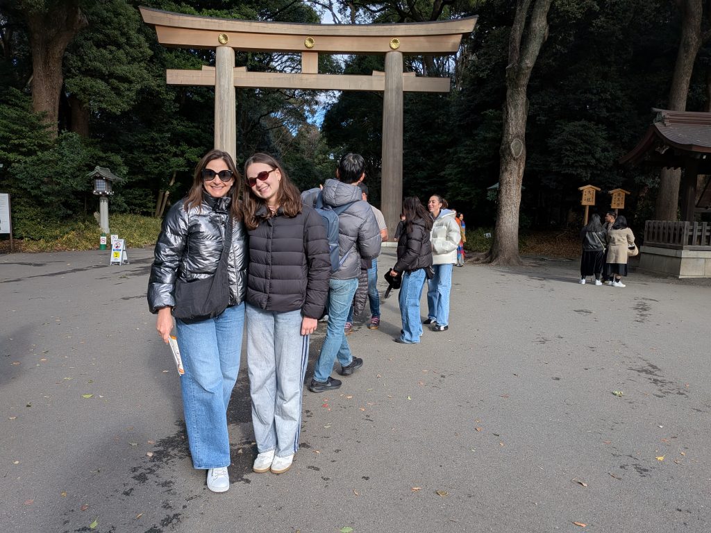 Tokyo in One Day: Meiji Shrine & Kappabashi Kitchenware Street