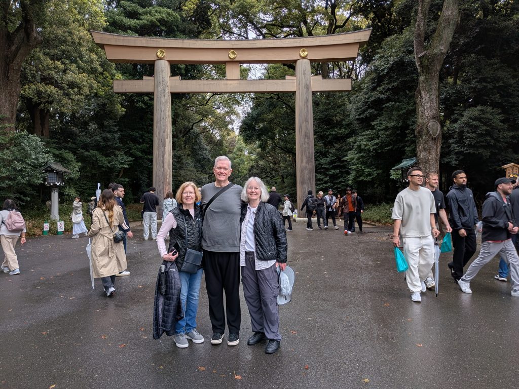 Tokyo in One Day: Meiji Shrine & Yanaka Ginza