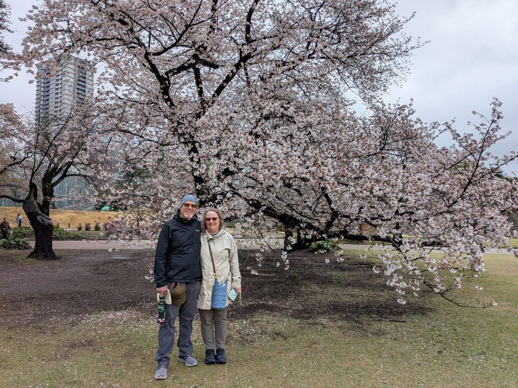 Tokyo in One Day: Shinjuku Gyoen & Senso-ji Temple