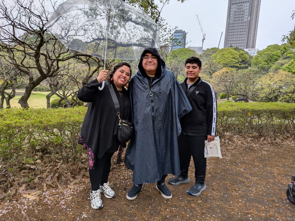 Tokyo in One Day: Meiji Jingu & Akihabara