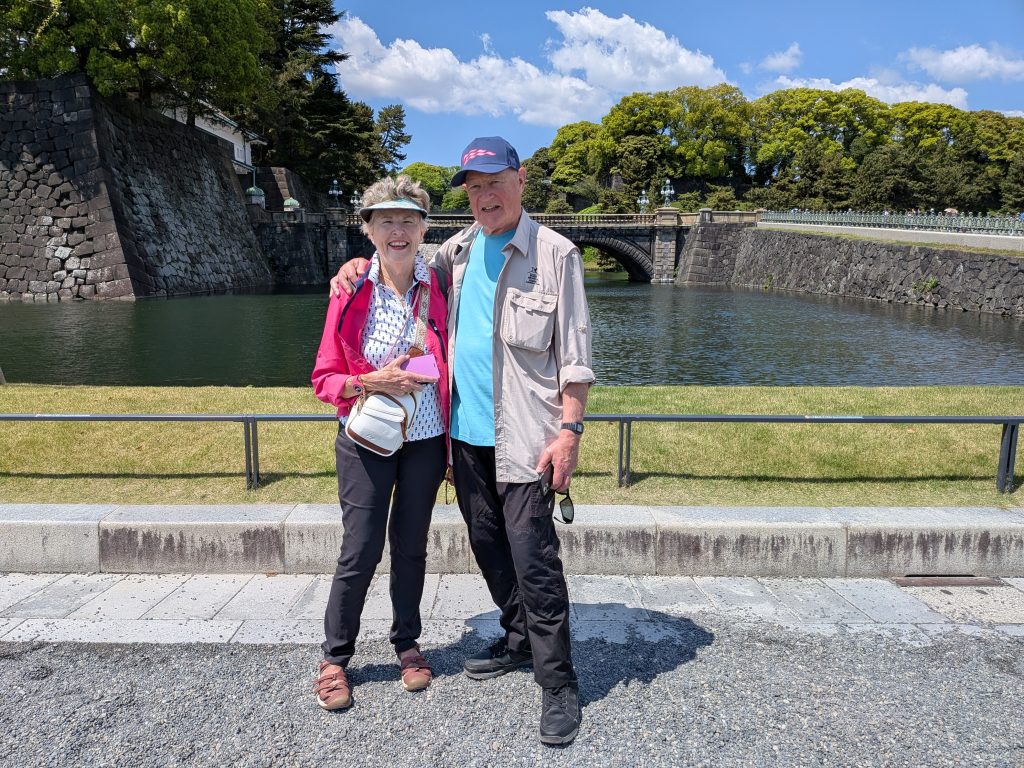 Tokyo in One Day: Meiji Shrine & Yokohama Chinatown
