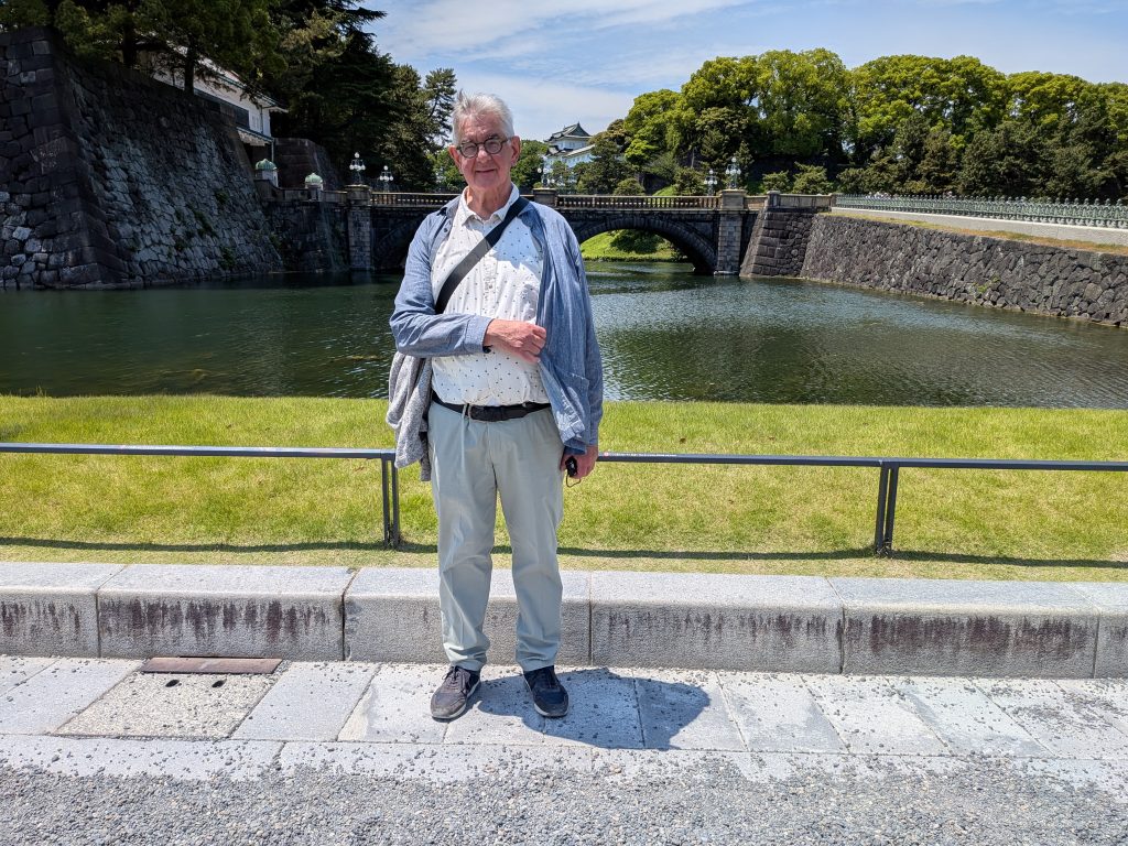 Tokyo in One Day: Meiji Shrine & Akihabara