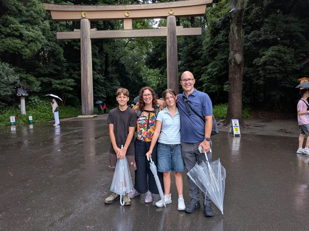 Tokyo in One Day: Meiji Shrine & Akihabara