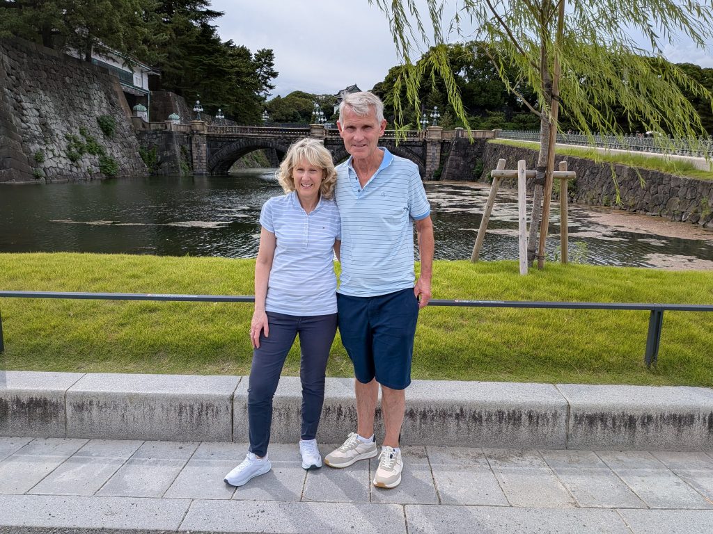 Tokyo in One Day: Meiji Shrine & Akihabara