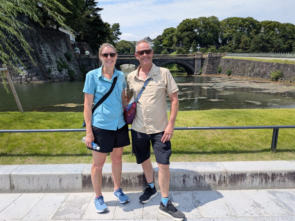 Tokyo in One Day: Meiji Shrine & Akihabara