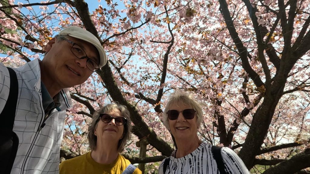 Kanazawa Customized Half-Day Tour