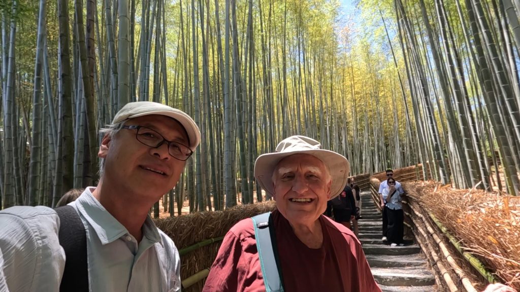 Arashiyama Bamboo Forest & Sagano Tour