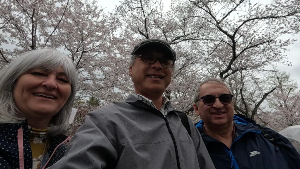 Kyoto in 1 Day from Osaka: Customized Tour