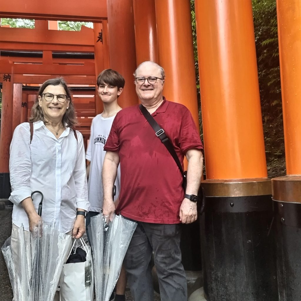 Kyoto in One Day: Kinkaku-ji Temple & Sanjusangendo
