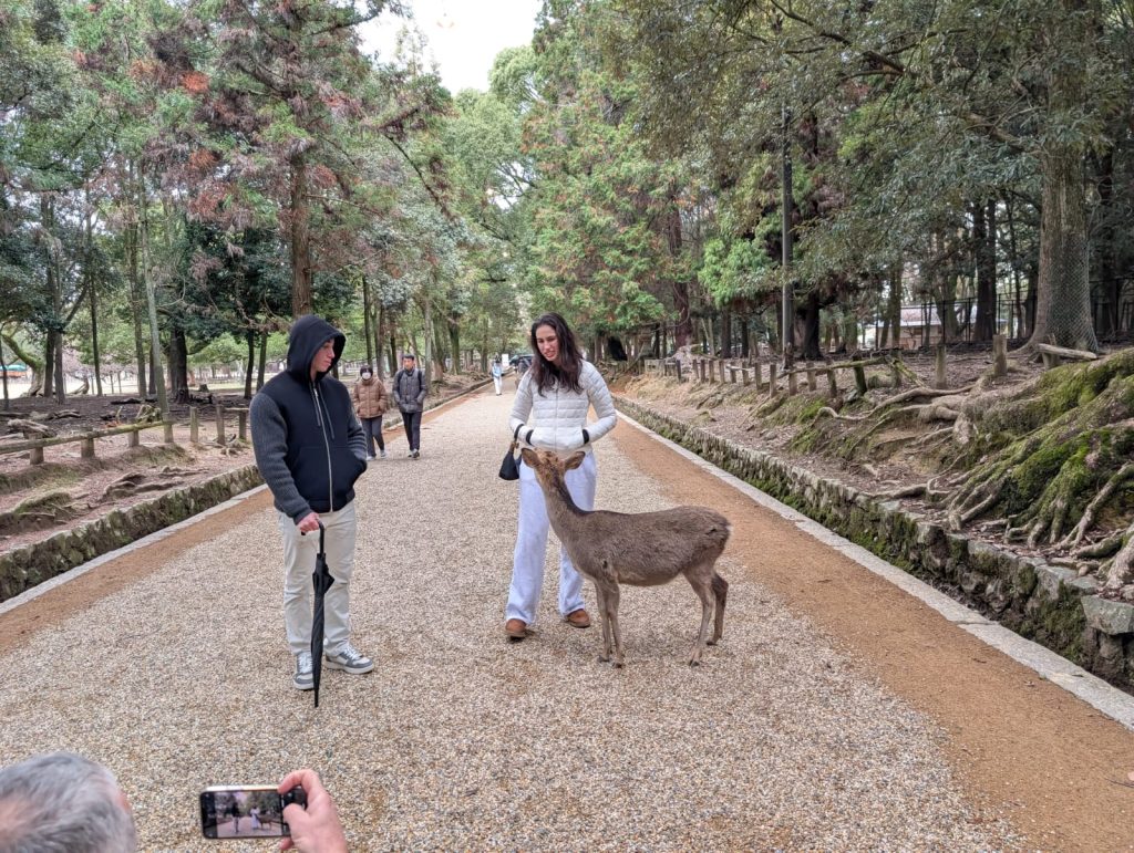 Nara in One Day: の予定がゲストの電車乗り換え間違いで & Todaiji's Great Buddha Hall