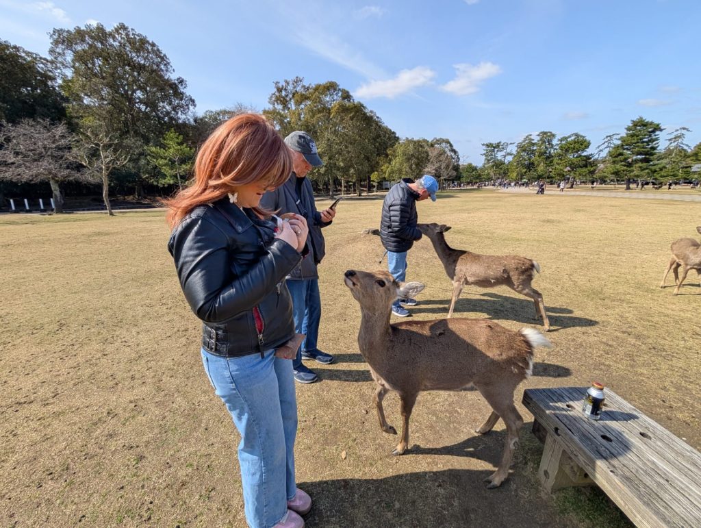 Nara in One Day: 30  Todaiji's Nigatsudo Hall