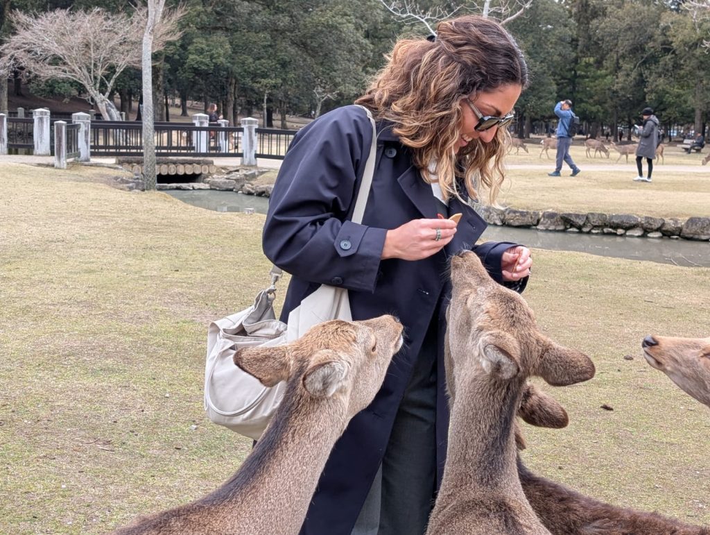 Nara in One Day: Kintetsu-Nara Station & Yoshikien Garden