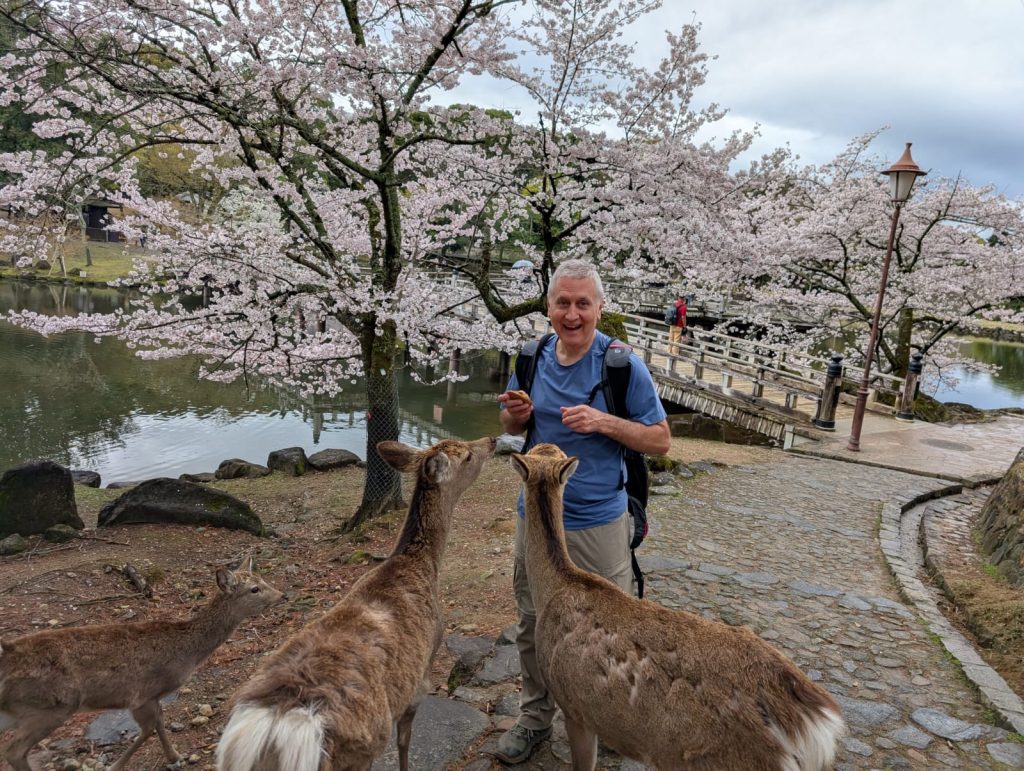 Nara in One Day: 30  Todaiji's Shoro Bell Tower