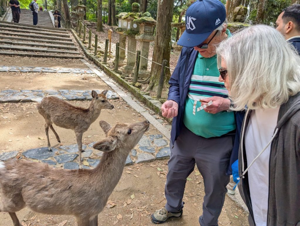 Nara in One Day: Todaiji's Nigatsudo Hall & Yoshikien Garden