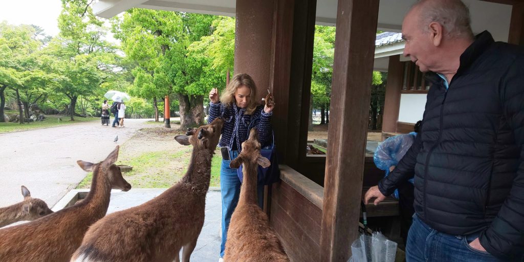 Osaka in One Day: Todaiji Great Buddha Hall