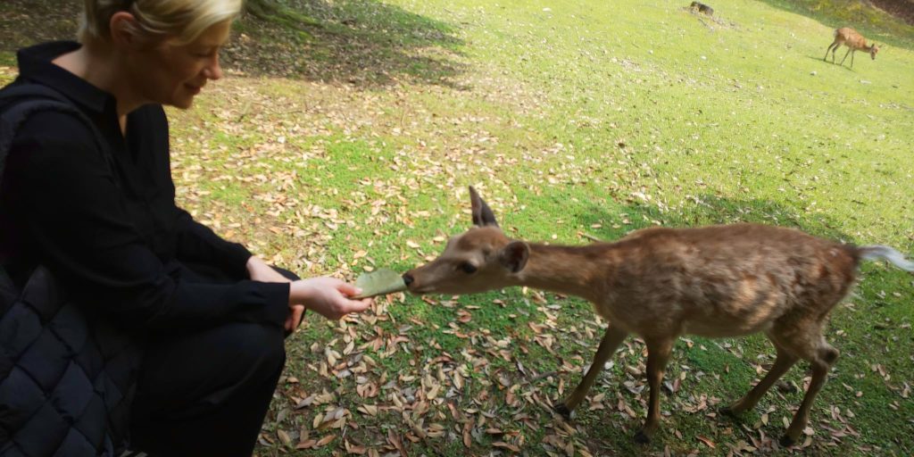 Nara in One Day: Kofukuji Temple & Ukimido