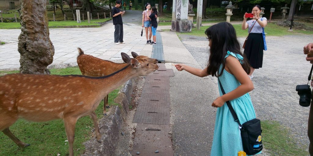 Nara in One Day: 40  Kofukuji Temple & JR Nara Station