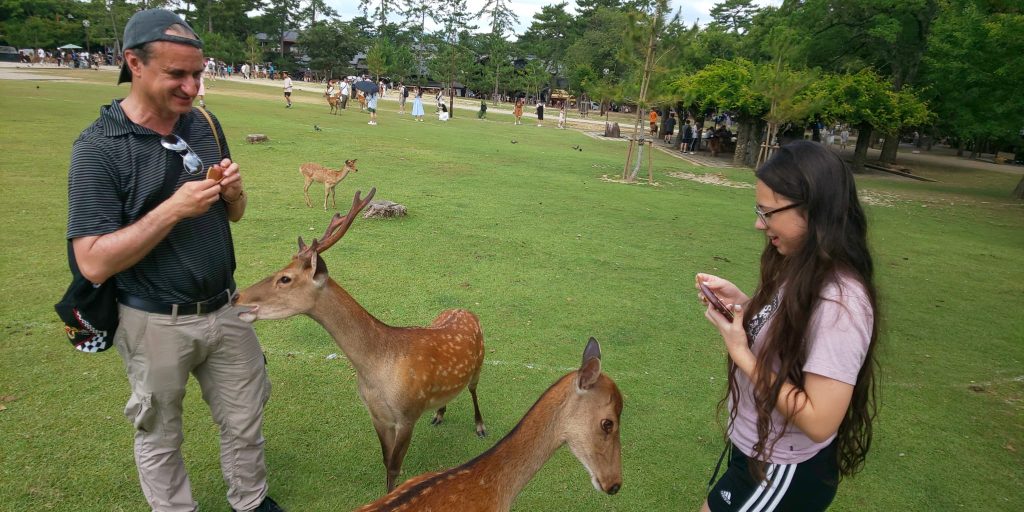 Nara in One Day: JR Nara Station & 30  Kofukuji Temple