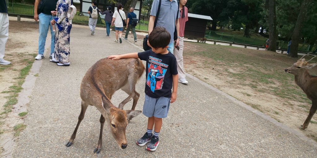 Nara in One Day: 40  Kofukuji Temple & Todaiji's Great Buddha Hall