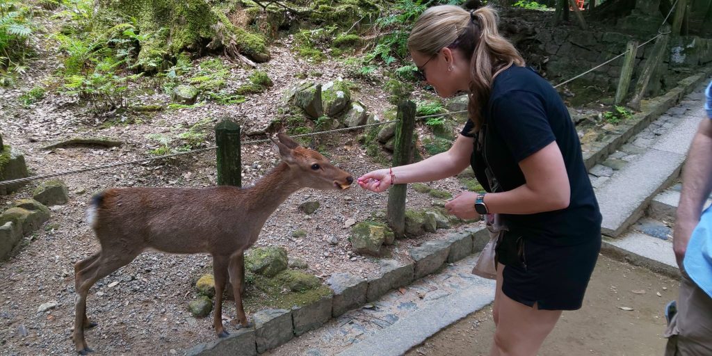 Nara in One Day: Kofukuji Temple→Ukimido Hall & Yoshikien Garden