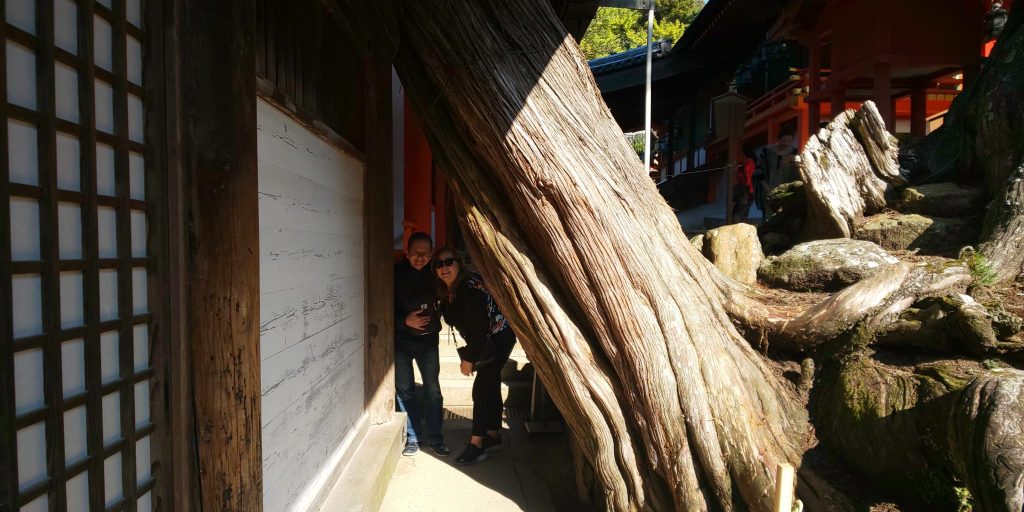 Kyoto: Kasuga-taisha Shrine & Kintetsu-Nara Station