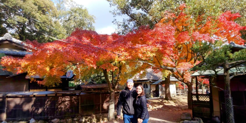 Nara in One Day: Kofukuji Temple & its & Todaiji's Great Buddha Hall