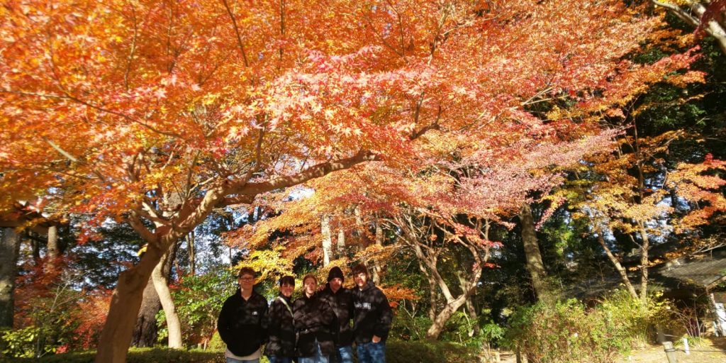 Nara in One Day: JR奈良駅の改札口（奈良観光の出発点） & JR奈良駅に戻る  観光終了