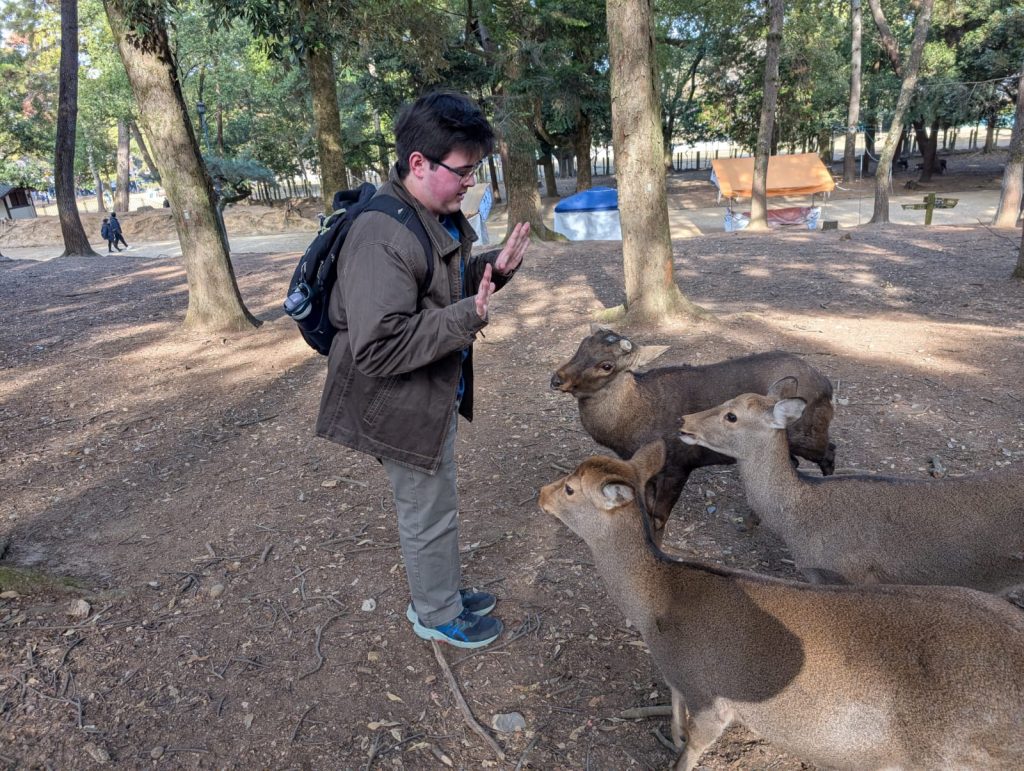 Nara in One Day: Nakatani-do & 40  Yoshikien Garden