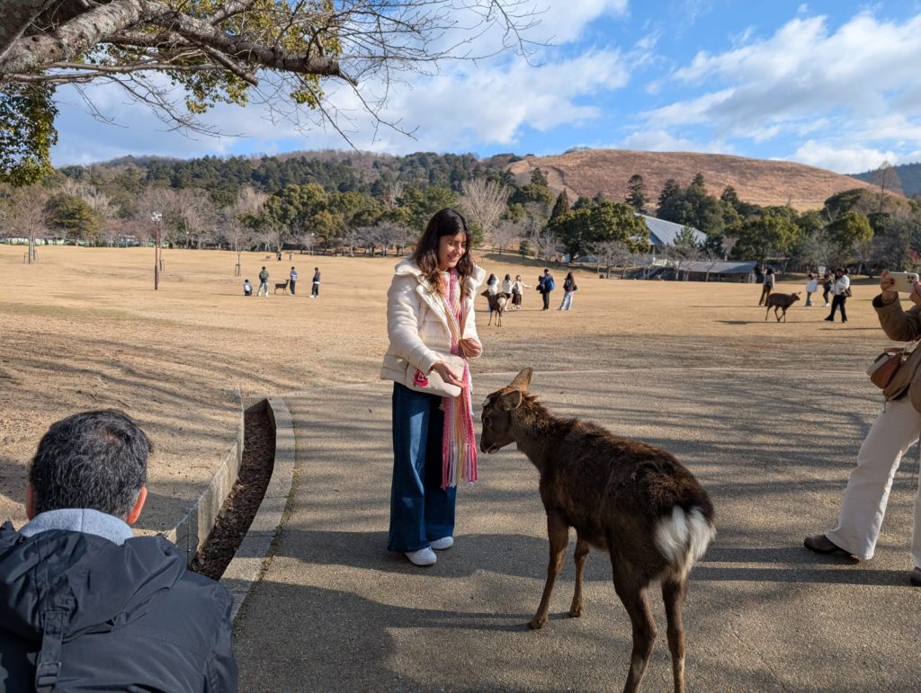 Nara Day Trip from Kyoto by Private Car