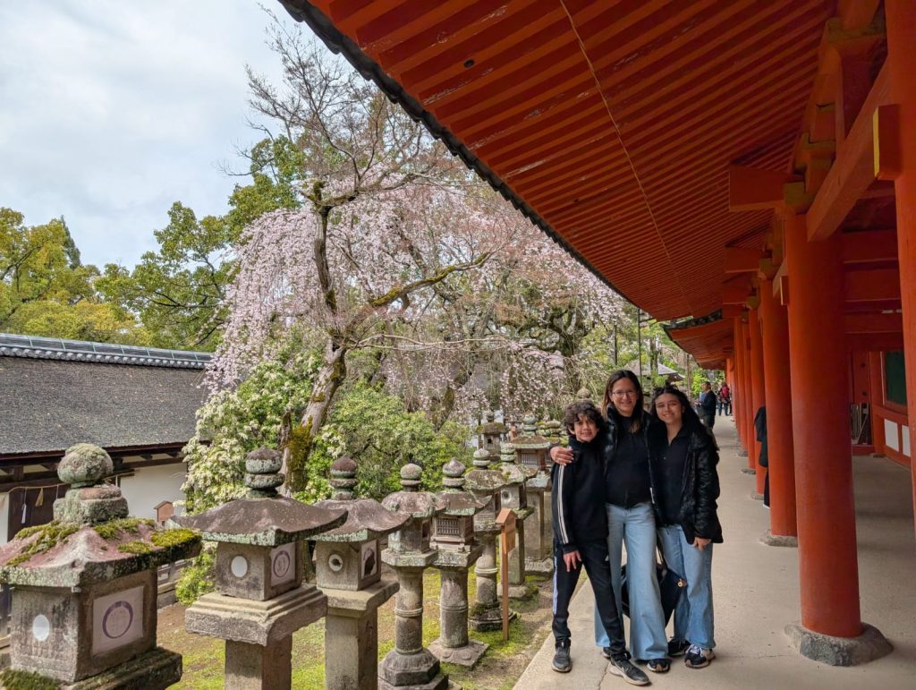 Nara in One Day: Kofukuji + Nakatanidou & Nara-machi