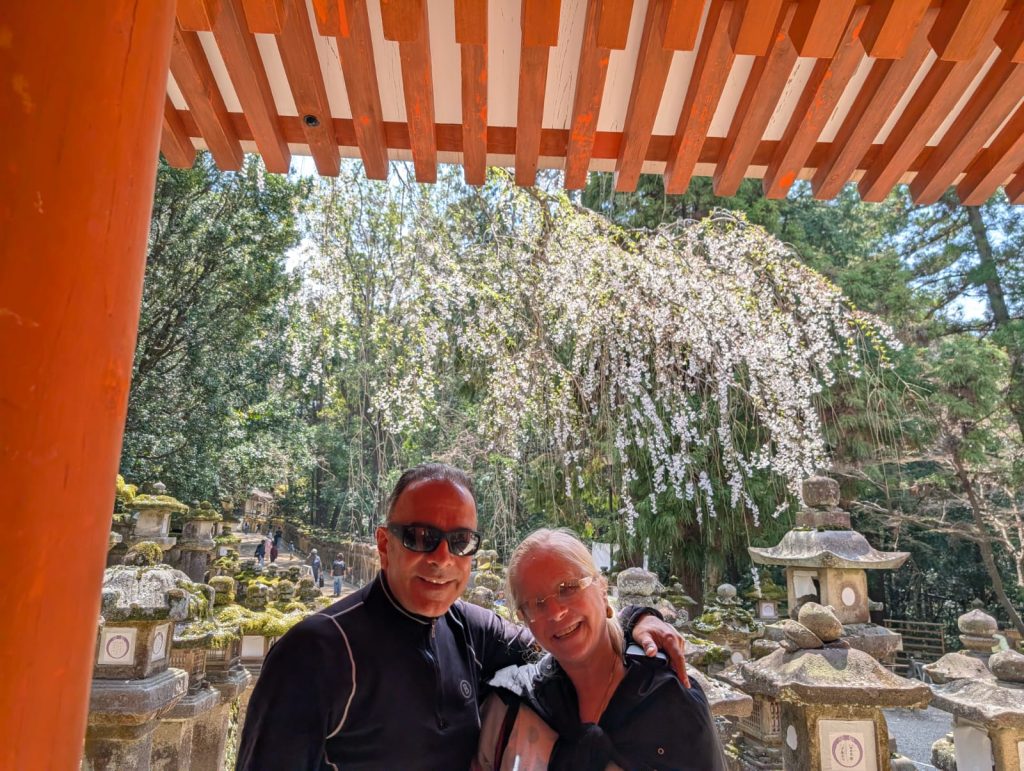 Nara in One Day: 30  Kasuga-taisha Shrine & Nara Kitamachi ~ Naramachi