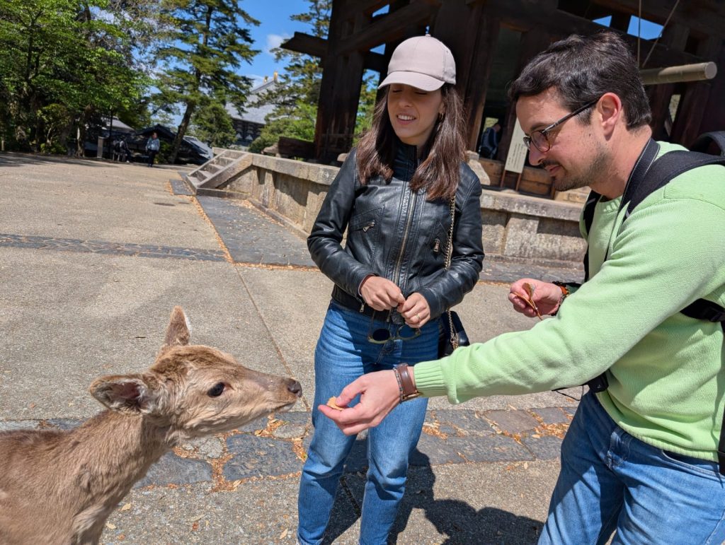 Kyoto: Kintetsu-Nara station & 50  Todaiji's Nigatsudo Hall