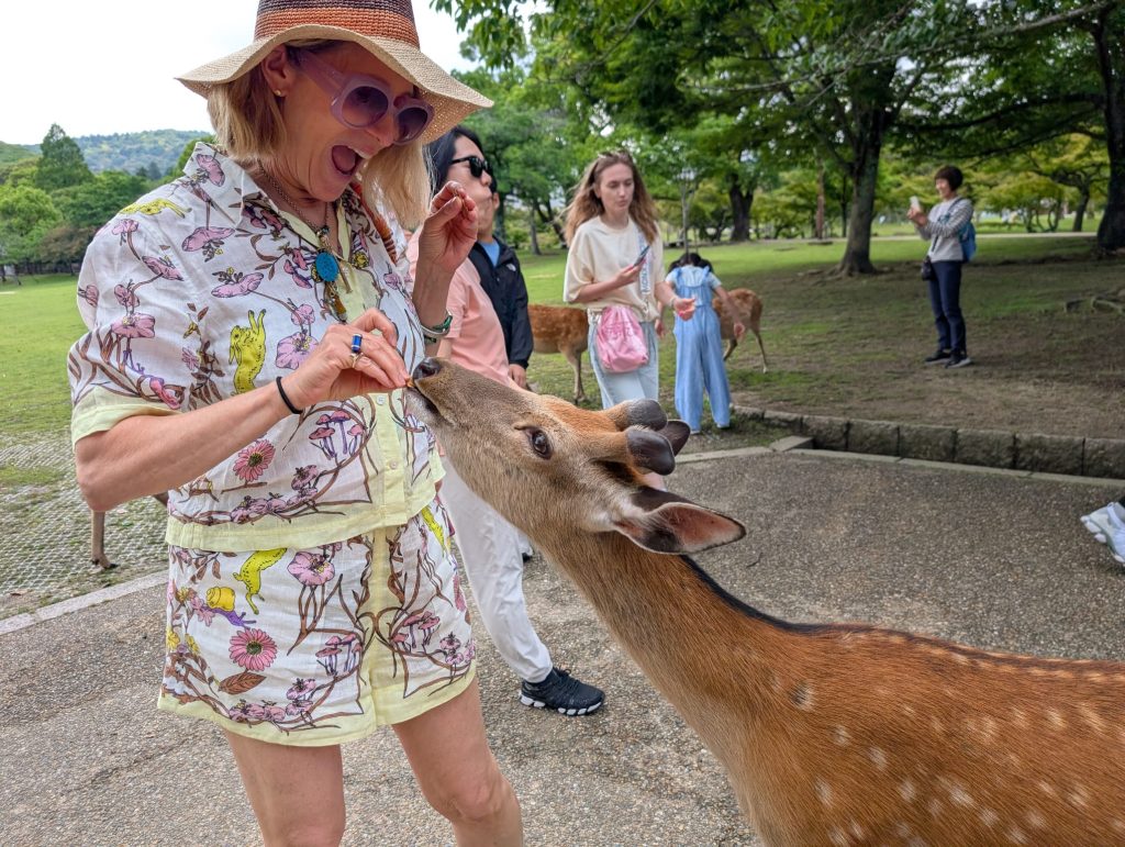 Nara in One Day: JR Nara       (taxi) & 50  Kasuga-taisha Shrine