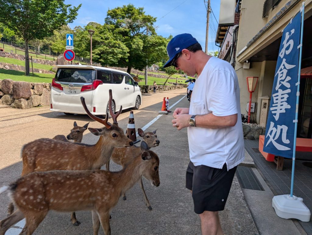 Nara in One Day: 40  lunch at Mizuya Chaya ?
