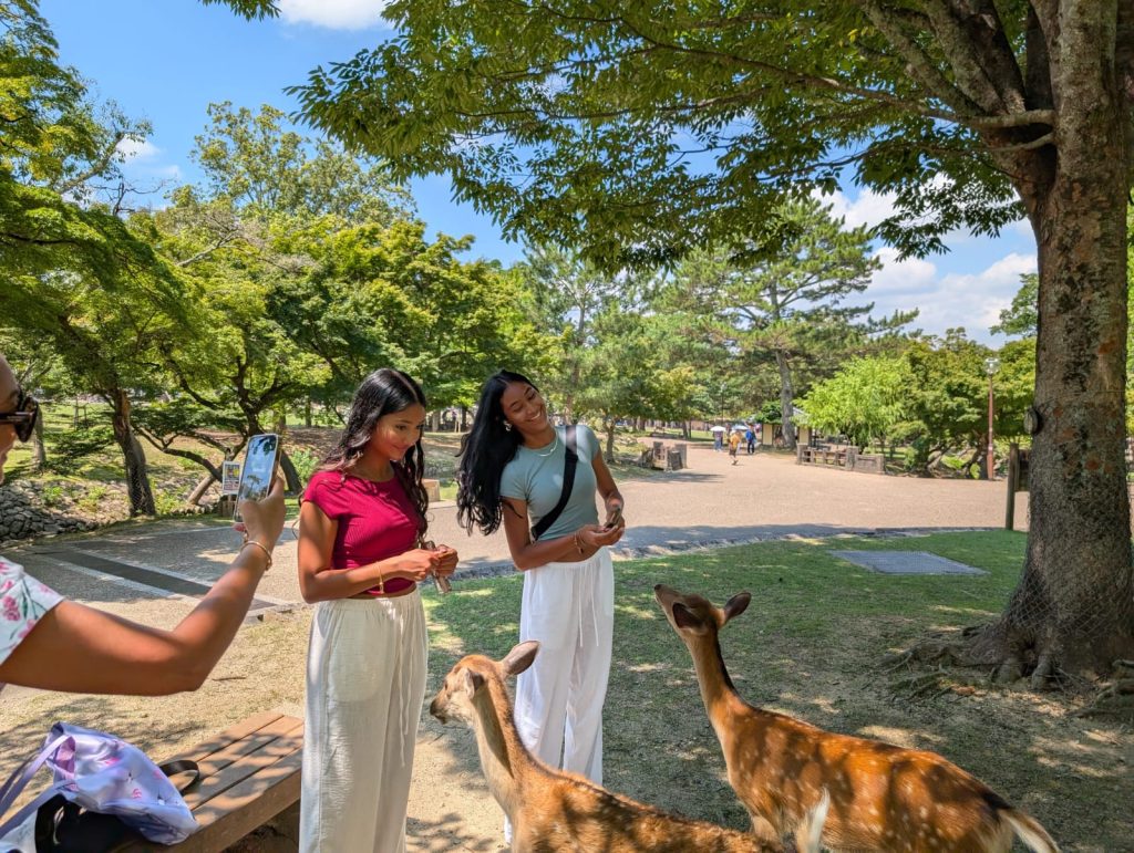 Nara in One Day: Ukigumo Enchi (Nara Park) & Yoshikien Garden