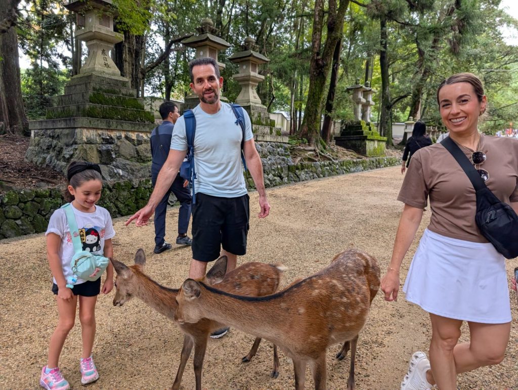 Nara in One Day: Kasuga-taisha Shrine & 40  Yoshikien Garden