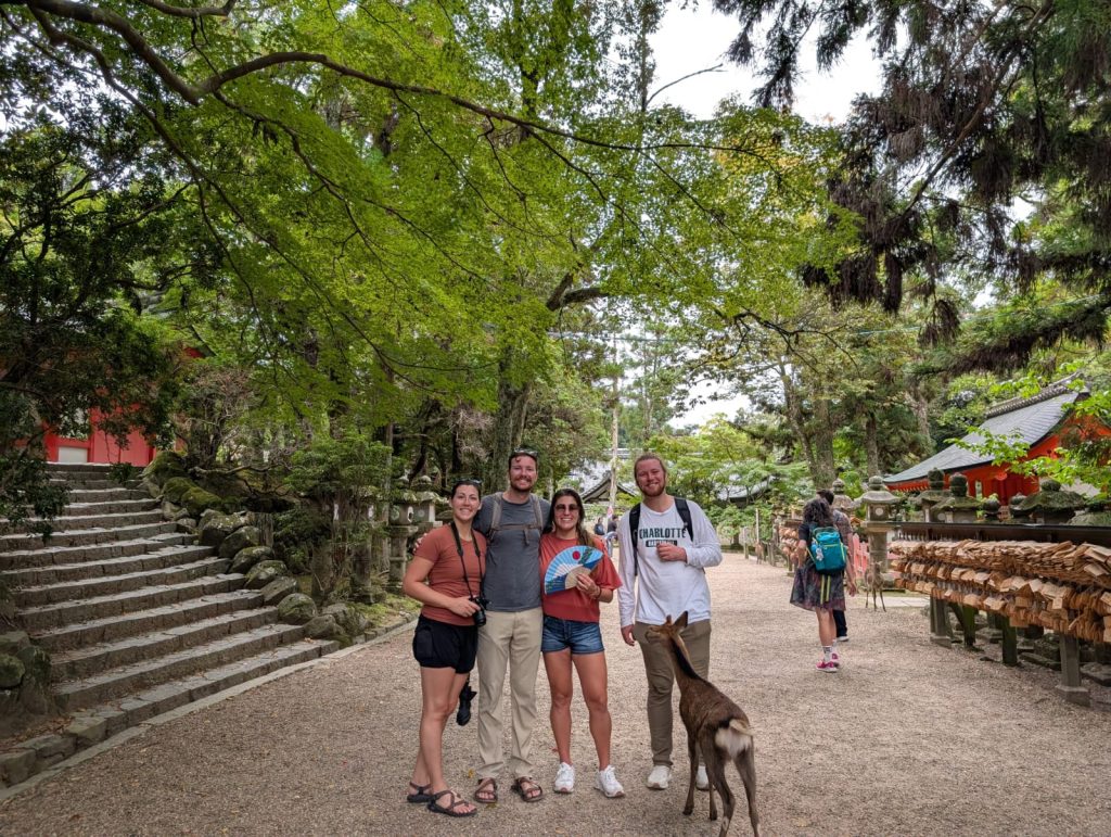 Nara in One Day: Kintetsu-Nara Station & Todaiji's Great Buddha Hall: