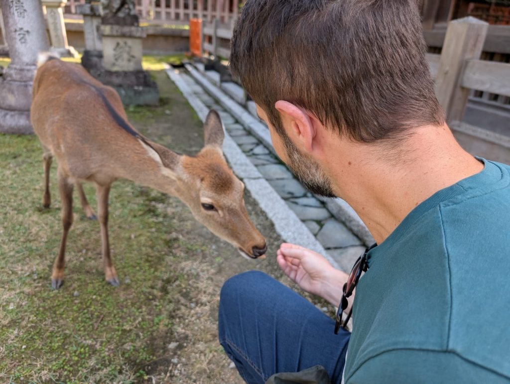 Nara in One Day: 50  Todaiji's Shoro Bell Tower & Okonomiyaki Okaru