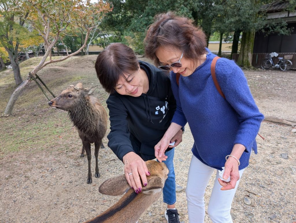 Nara in One Day: Ukimido in Sagiike Pond & back at Kintetsu-Nara