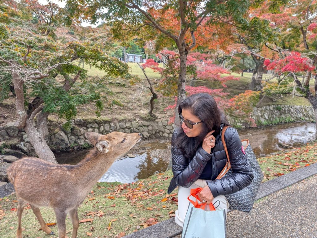 Nara Day Trip from Kyoto: Customized Tour