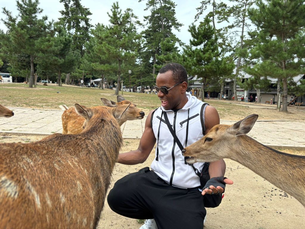 Nara in One Day: Nara Park & Kasuga Taisha Shrine