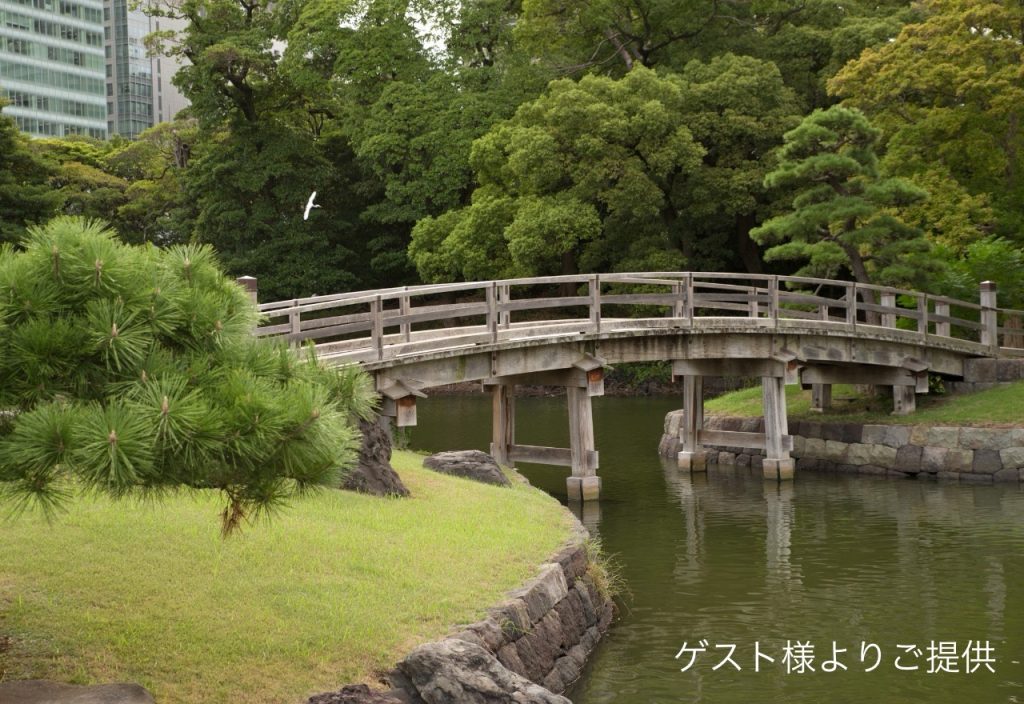 Tokyo: Koishikawa Korakuen Garden & To the hotel