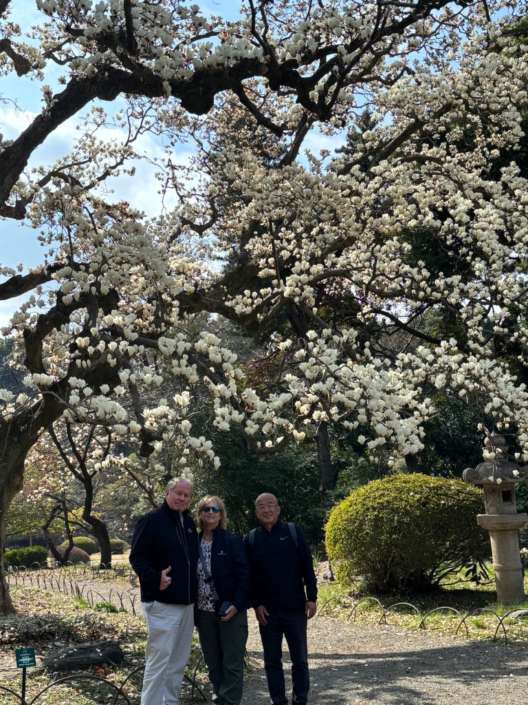 Tokyo in One Day: Hotel Shangri-La Tokyo & Nezu Shrine